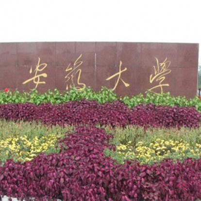 安徽大学