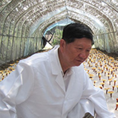 沈业寿 教授