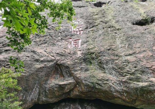 茶叶基地