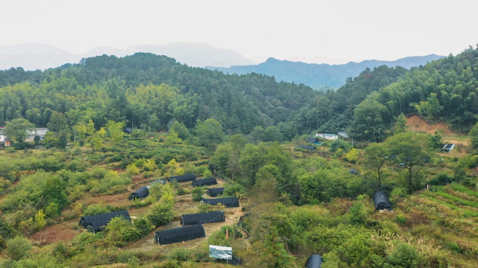 全景1.jpg