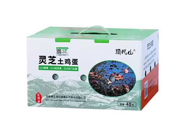 灵芝土鸡蛋 40枚装